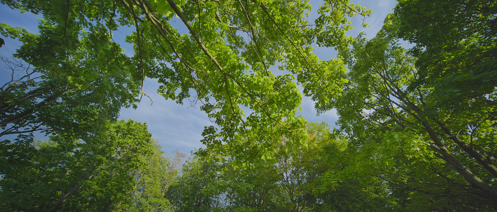 次世代の技術へ中古木工機械の販売・買取ならお任せください