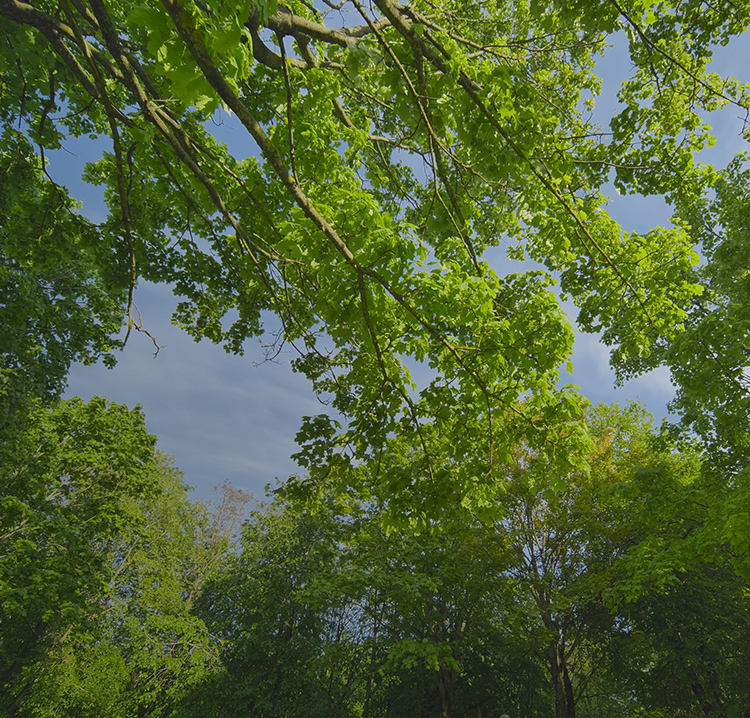 次世代の技術へ中古木工機械の販売・買取ならお任せください