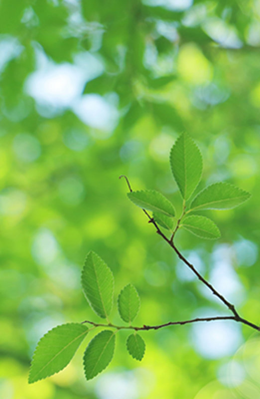 ようこそ、中古木工機械専門店【プロショップマシンセンター】へ